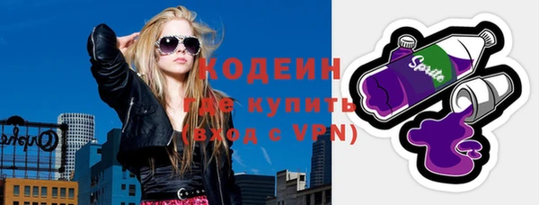 хмурый Дмитров