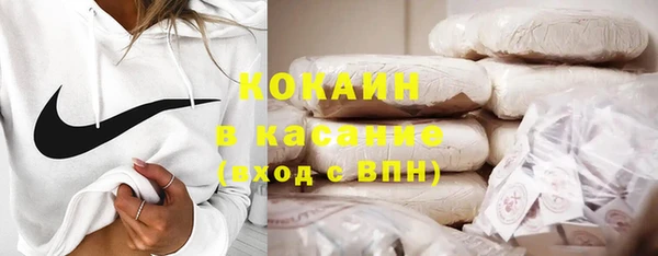 хмурый Дмитров