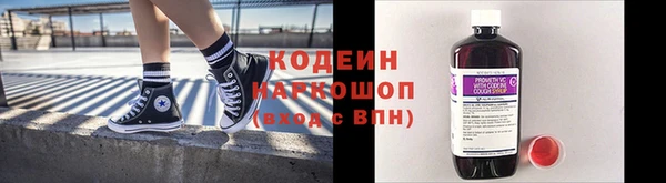 хмурый Дмитров
