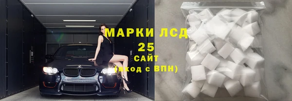 хмурый Дмитров