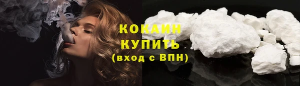 твердый Дмитриев