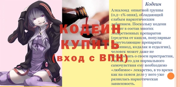 хмурый Дмитров