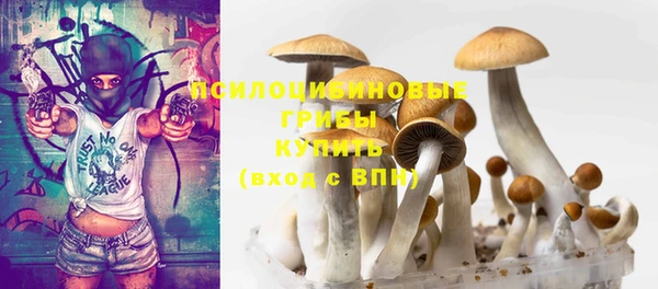 PSILOCYBIN Дмитровск