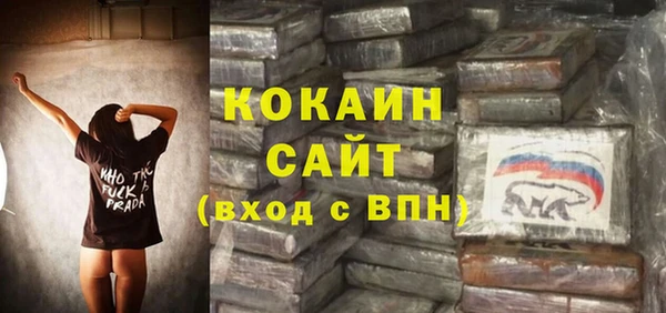 твердый Дмитриев
