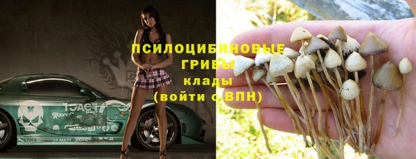 твердый Дмитриев