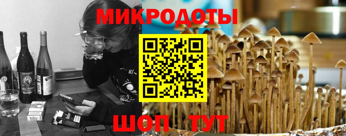 Псилоцибиновые грибы Psilocybe  Вход с VPN  Гуково 