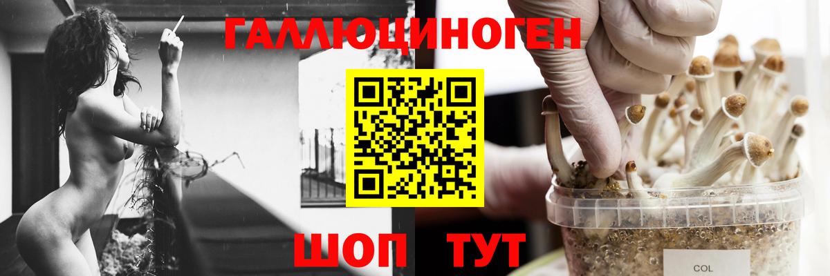 Галлюциногенные грибы мицелий  сколько стоит  Гуково 